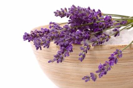 Usos y Beneficios del Aceite de Lavanda para la Belleza1