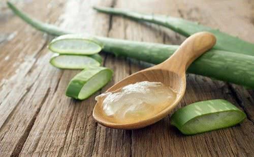 Conoce los Beneficios del Aloe para el Tratamiento del Pelo1