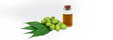 aceite de neem