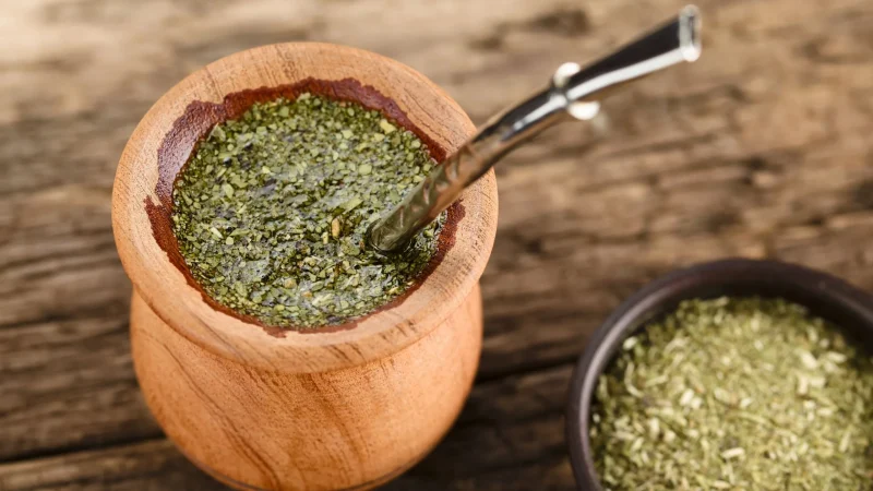 yerba mate