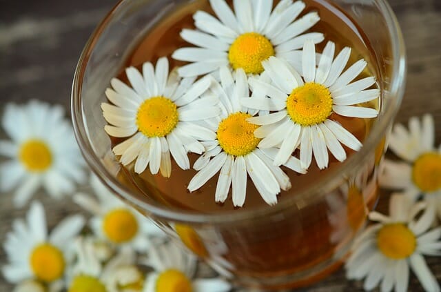 Use té para el cabello graso.